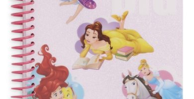 Cuaderno de princesas de Disney