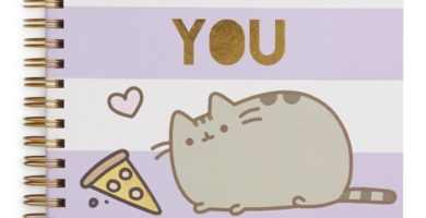 Cuaderno de pusheen