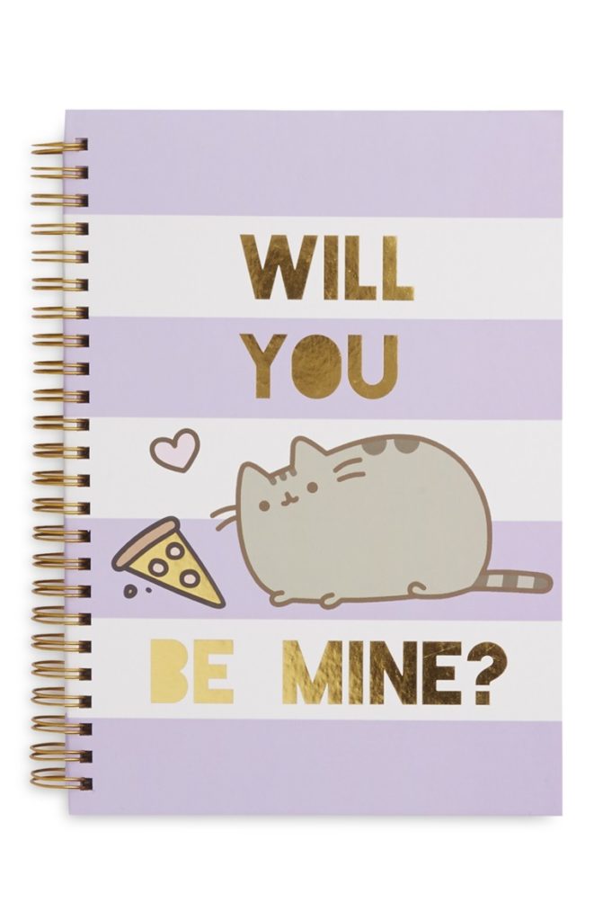 Cuaderno de pusheen