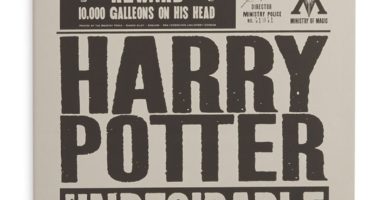 Pack de 2 Cuadernos de Harry Potter