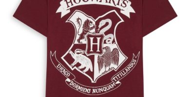 Camiseta de Harry Potter