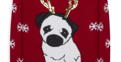 Jersey rojo de Navidad Pug