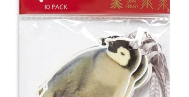 Pack de 10 etiquetas con pingüinos