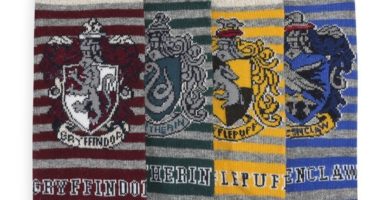 Pack de 4 calcetines de Harry Potter