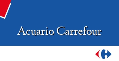 Comprar  &#160Acuario Carrefour