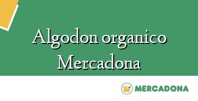 Comprar  &#160Algodon organico Mercadona