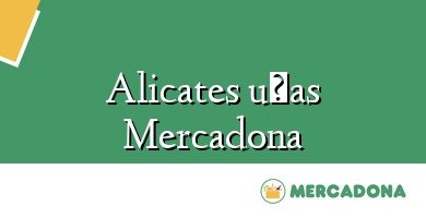 Comprar  &#160Alicates uñas Mercadona