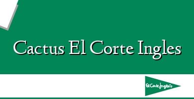 Comprar  &#160Cactus El Corte Ingles