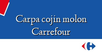 Comprar  &#160Carpa cojin molon Carrefour