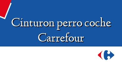 Comprar  &#160Cinturon perro coche Carrefour