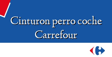 Comprar  &#160Cinturon perro coche Carrefour