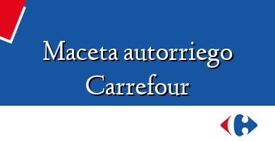 Comprar  &#160Maceta autorriego Carrefour