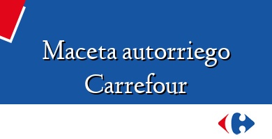 Comprar  &#160Maceta autorriego Carrefour