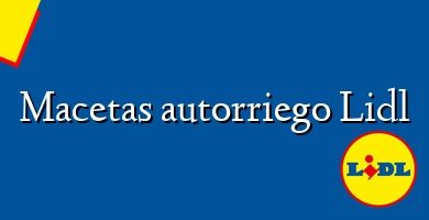 Comprar  &#160Macetas autorriego Lidl