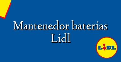 Comprar  &#160Mantenedor baterias Lidl