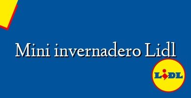 Comprar  &#160Mini invernadero Lidl