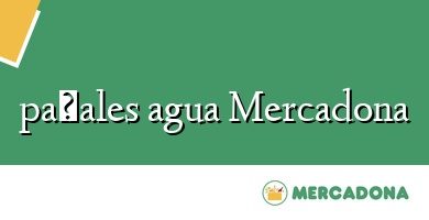 Comprar  &#160pañales agua Mercadona