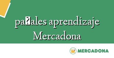 Comprar  &#160pañales aprendizaje Mercadona