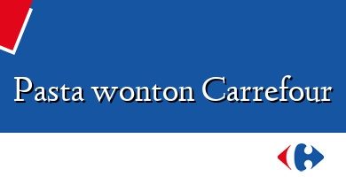 Comprar  &#160Pasta wonton Carrefour