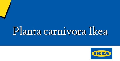 Comprar  &#160Planta carnivora Ikea
