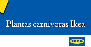 Comprar  &#160Plantas carnivoras Ikea