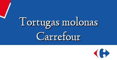 Comprar  &#160Tortugas molonas Carrefour